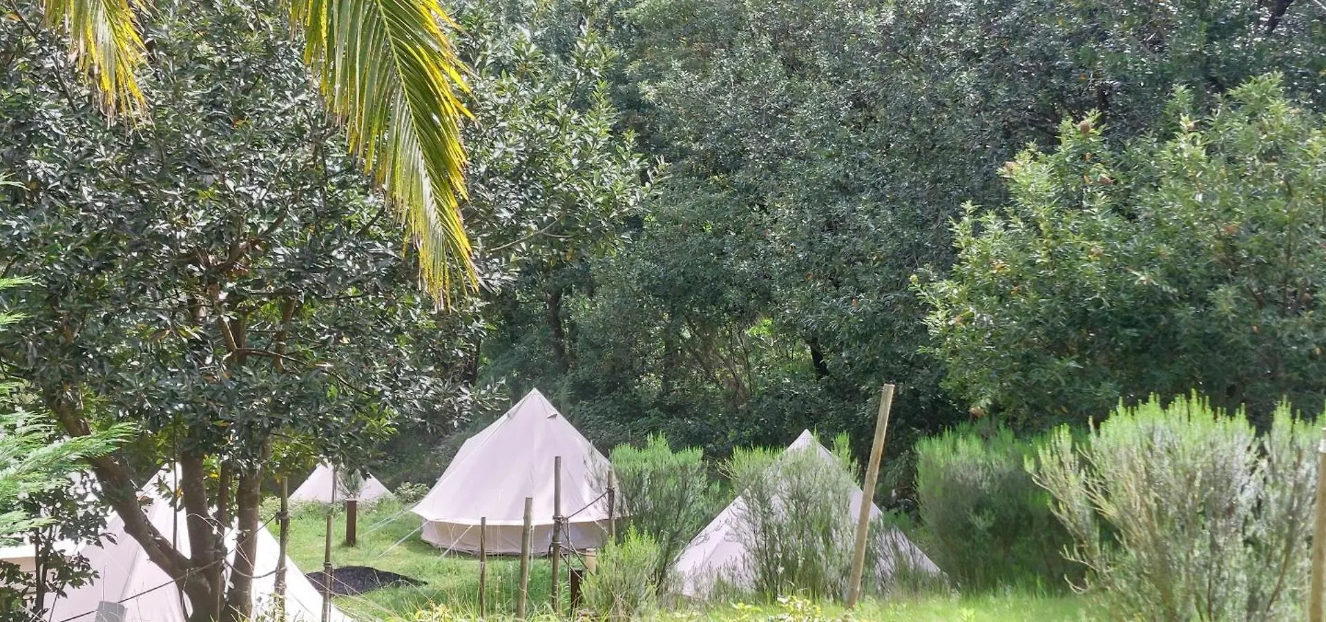 Nature Retreat - Laurel Forest Seixal