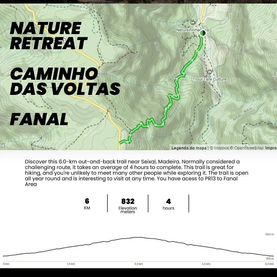Nature Retreat - Laurel Forest Seixal  Seixal (Madeira)