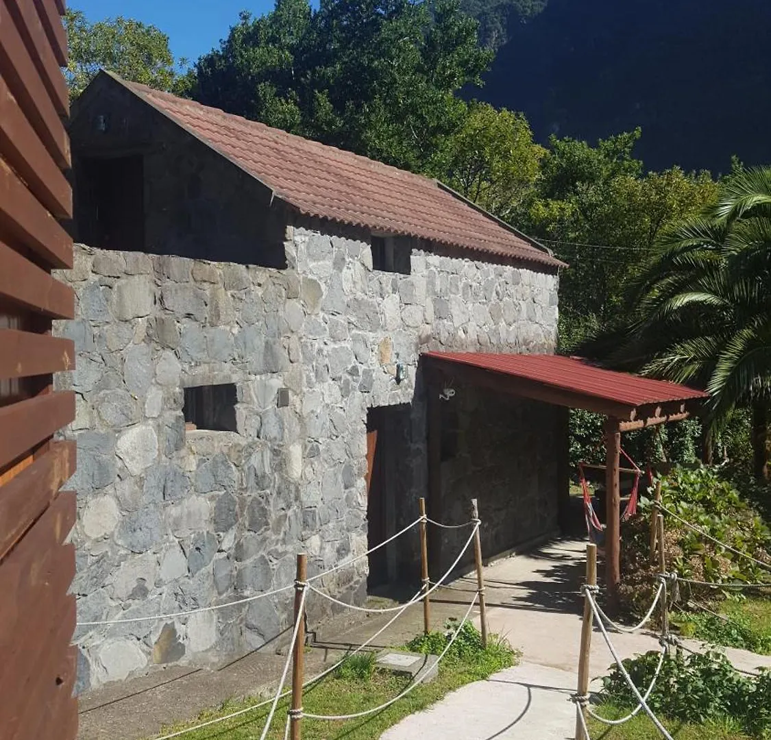 Nature Retreat - Laurel Forest 塞沙尔
