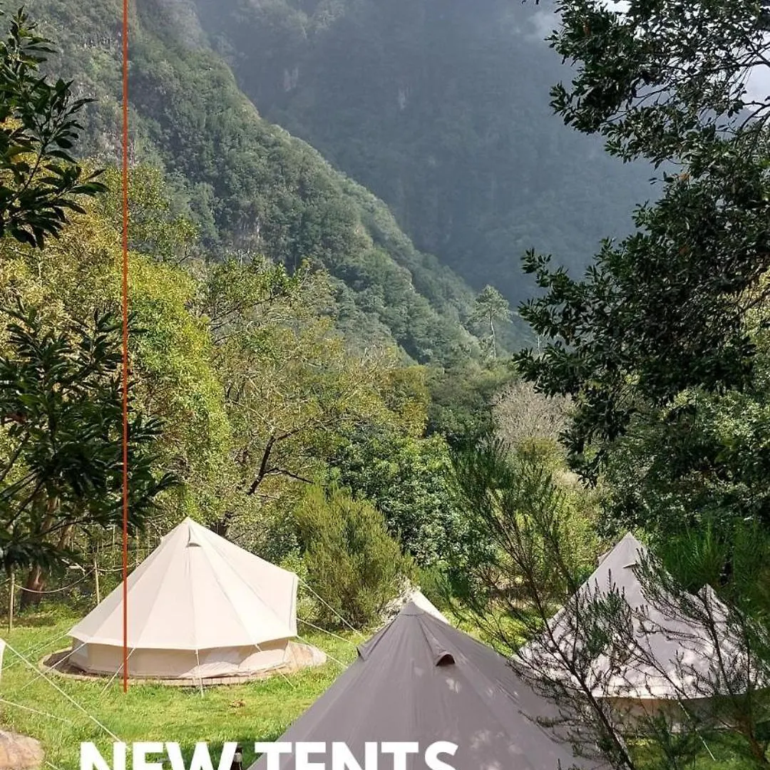 豪华帐篷 Nature Retreat - Laurel Forest 塞沙尔