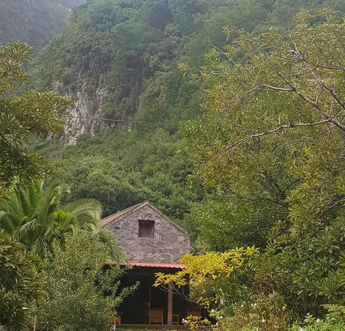 Nature Retreat - Laurel Forest Seixal  Glamping
