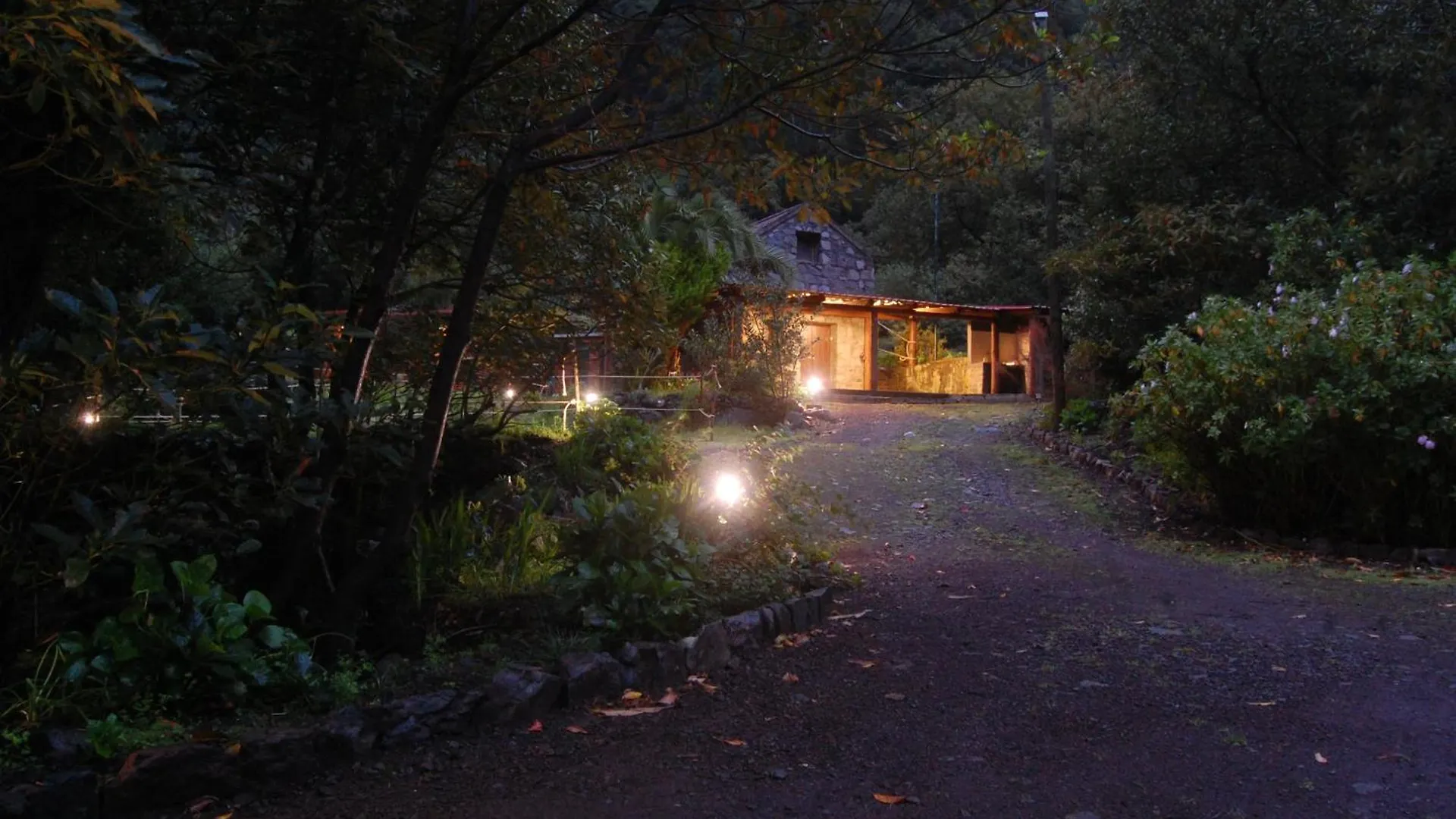 Nature Retreat - Laurel Forest 塞沙尔 葡萄牙