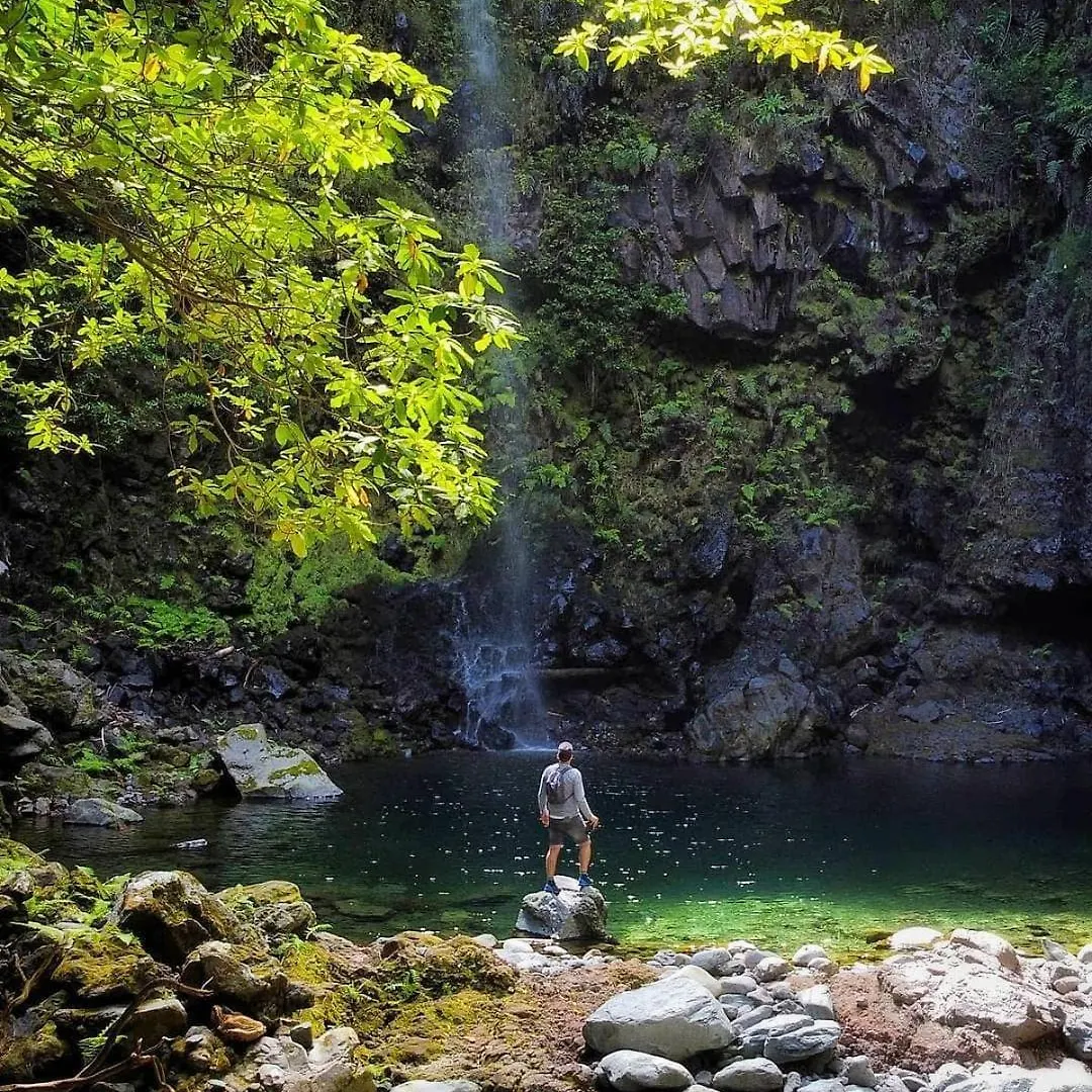 Glamping Nature Retreat - Laurel Forest Seixal
